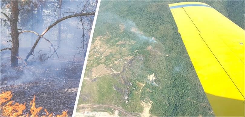 Gürcistan'daki Orman Yangınına Türkiye'den Hava Desteği